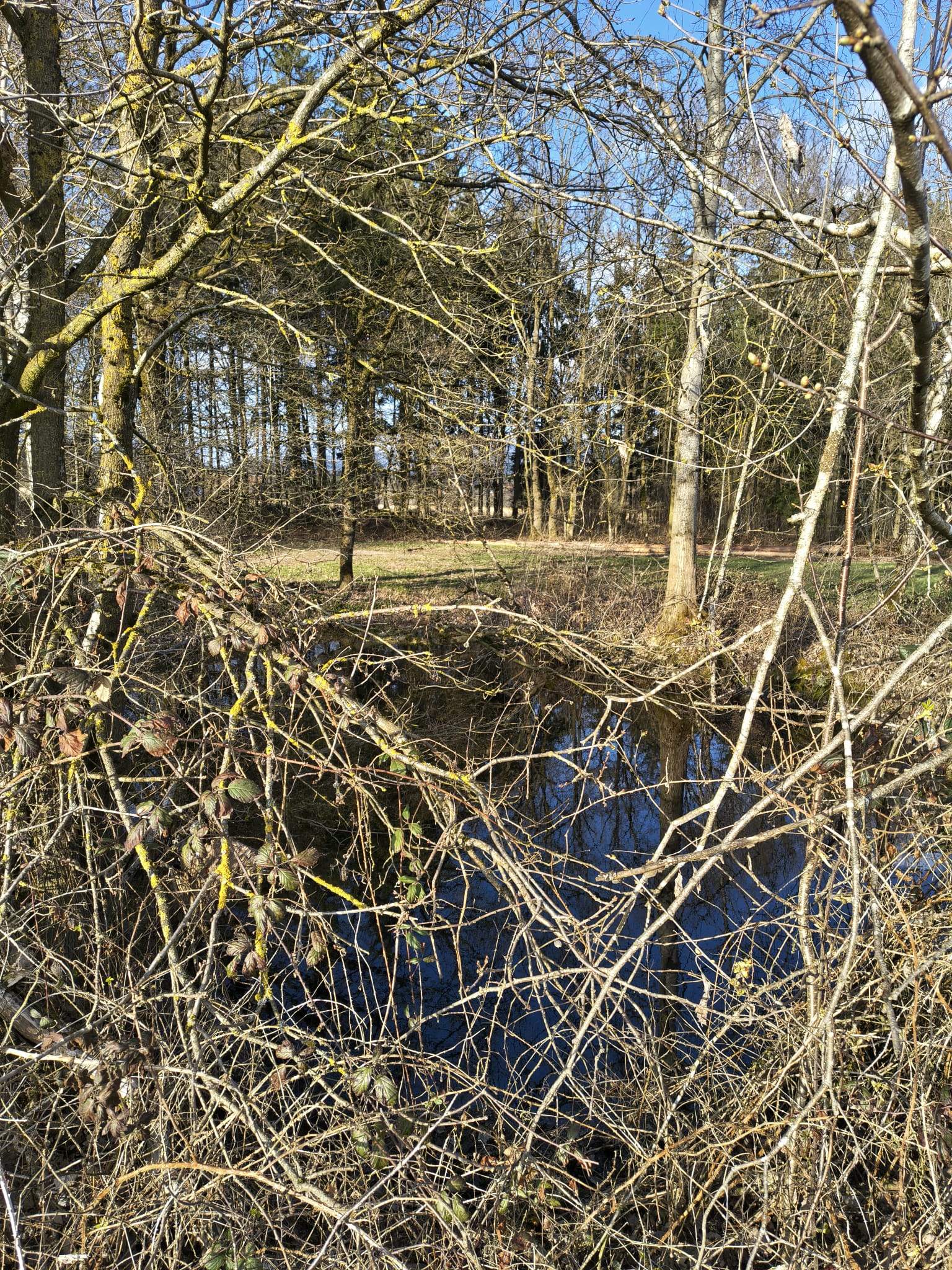 01april2026 foto2 stefanhafner